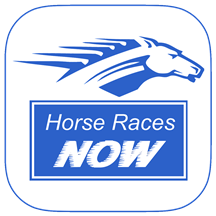 Horse Races Now LLC